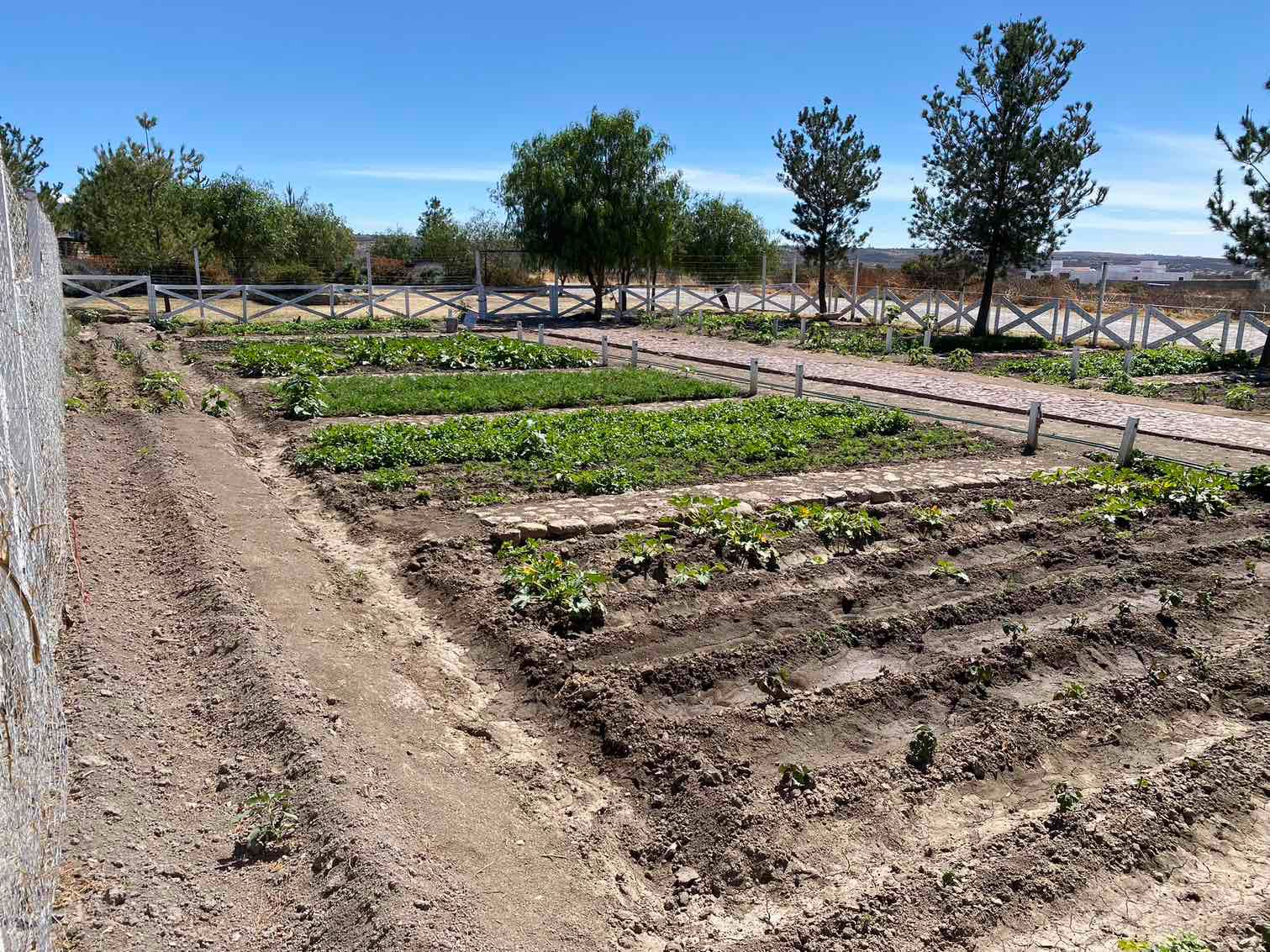TERRENO EN VENTA EN FRACCIONAMIENTO CAMPESTRE PUERTA LUNA