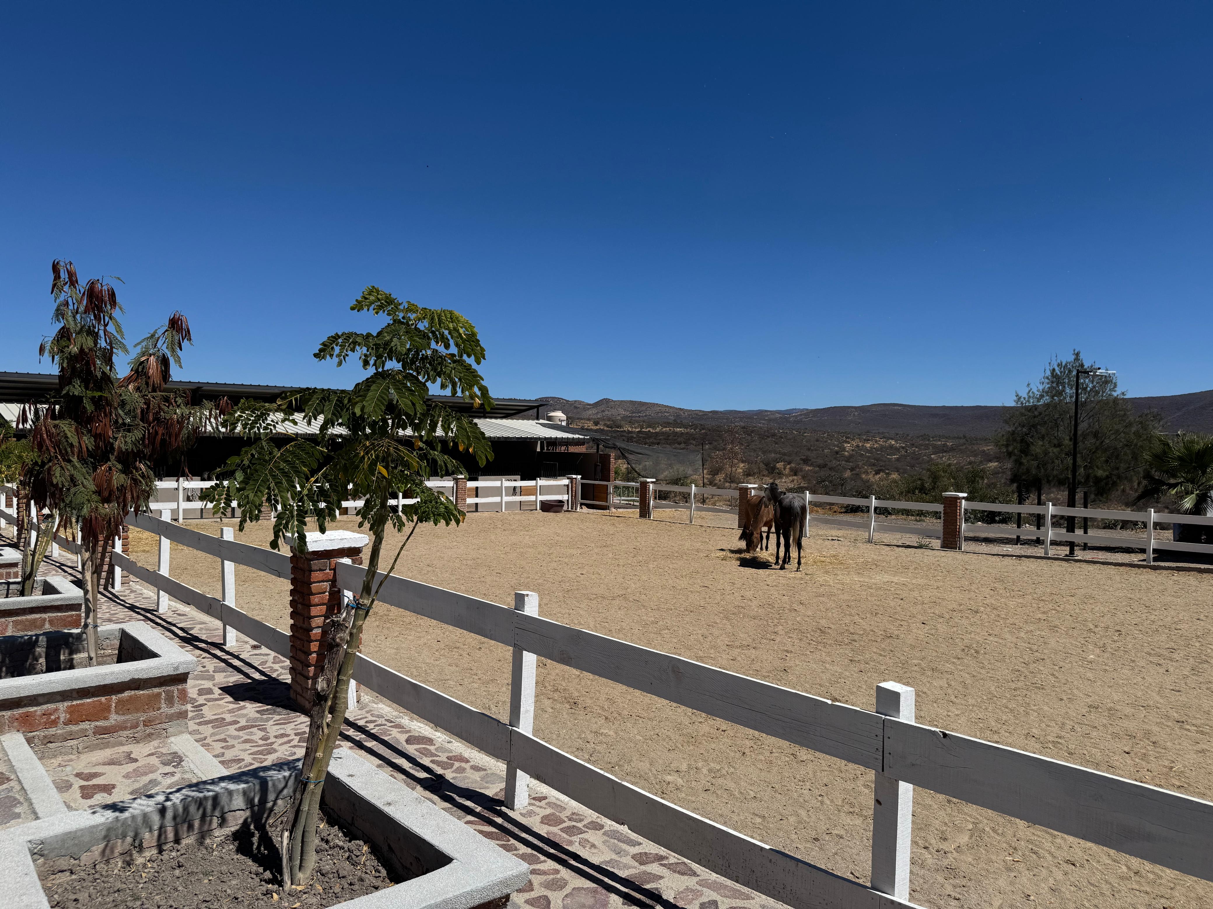 TERRENO EN VENTA EN FRACCIONAMIENTO CAMPESTRE PUERTA LUNA