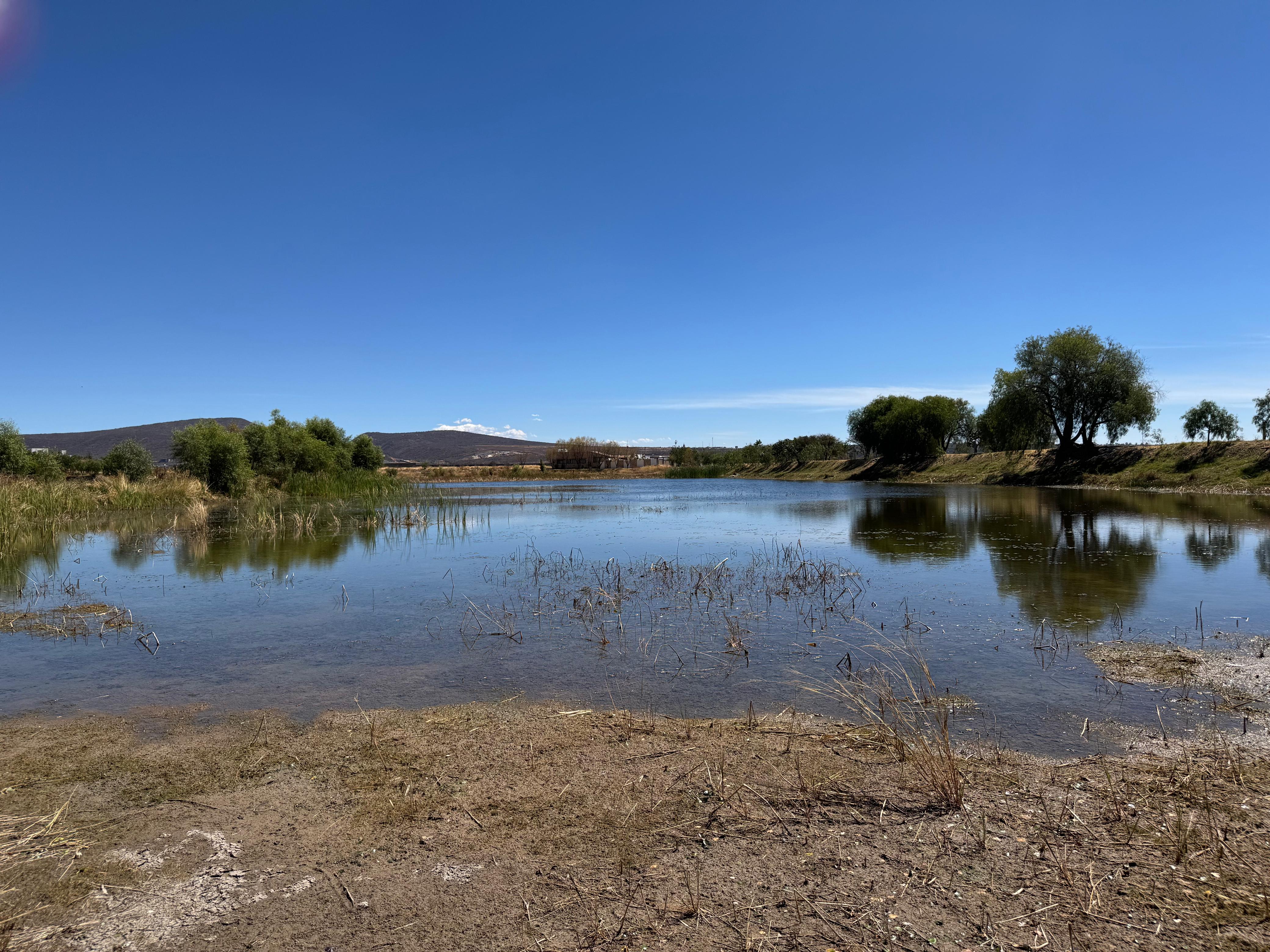 TERRENO EN VENTA EN FRACCIONAMIENTO CAMPESTRE PUERTA LUNA