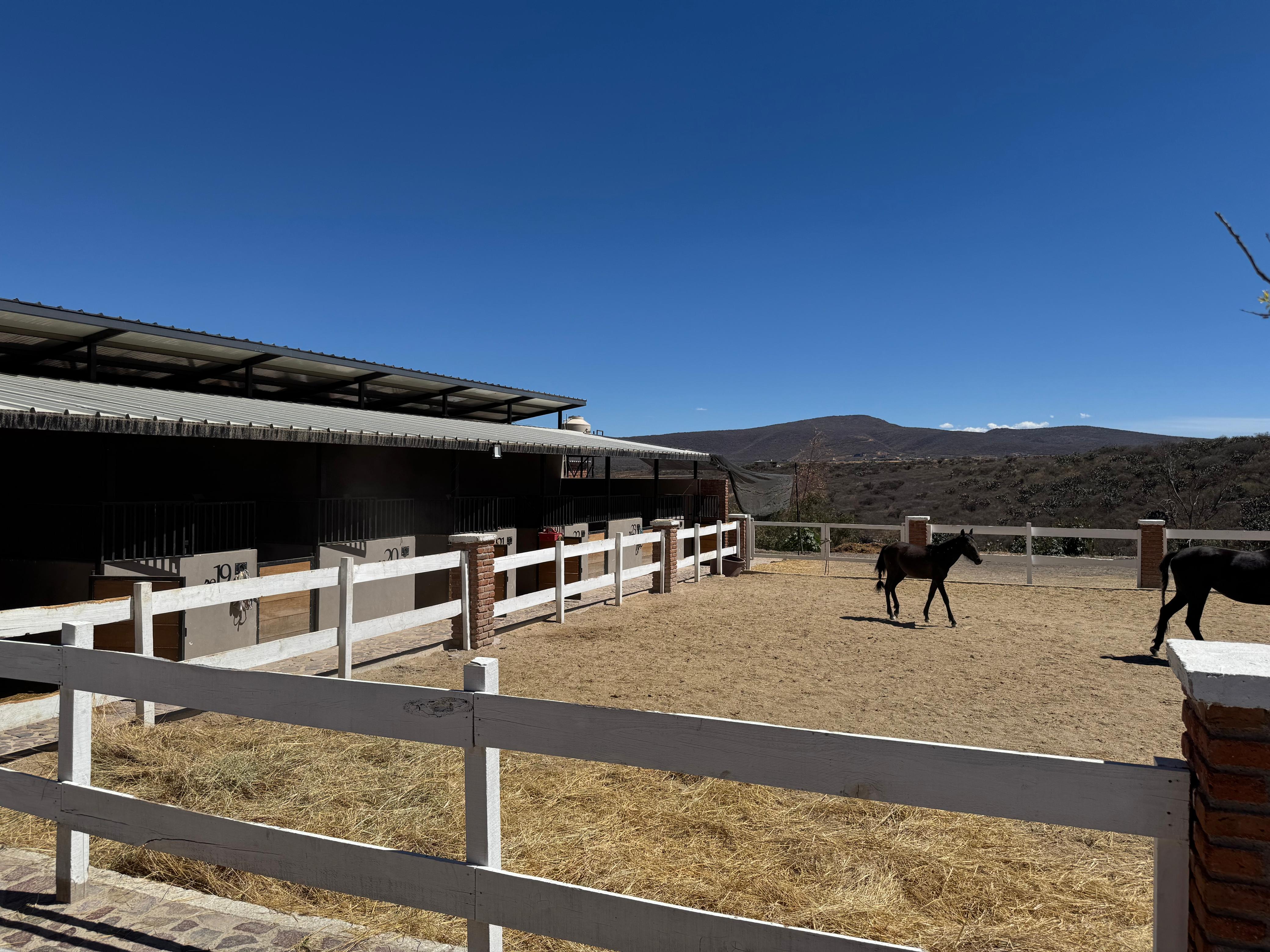 TERRENO EN VENTA EN FRACCIONAMIENTO CAMPESTRE PUERTA LUNA