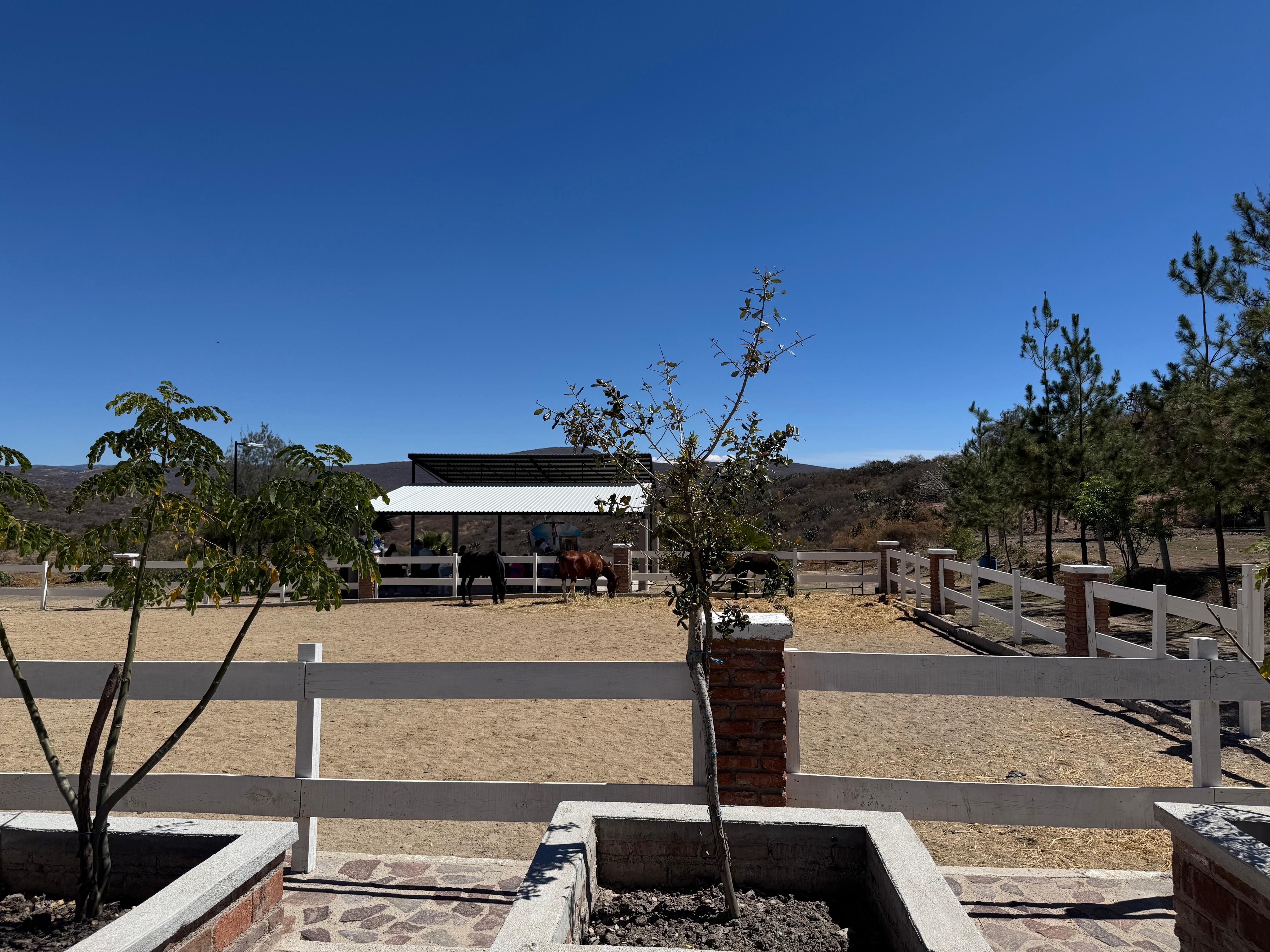 TERRENO EN VENTA EN FRACCIONAMIENTO CAMPESTRE PUERTA LUNA